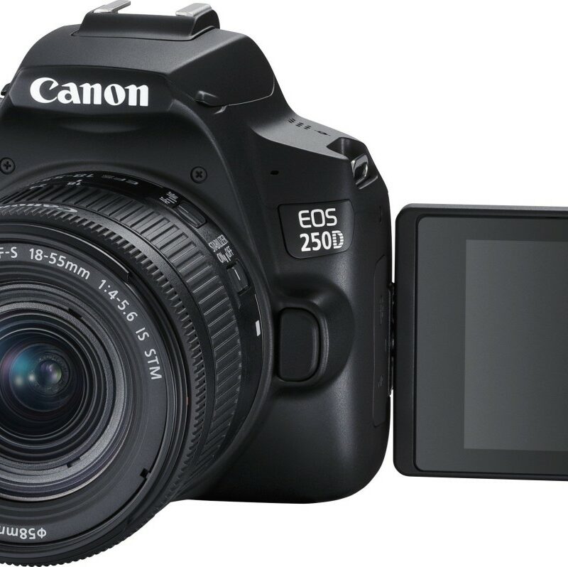 Canon Eos 250d Ef-s 18-55mm 4.0-5.6 Is Stm | Zustand: Sehr Gut